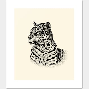 Jaguar Posters and Art